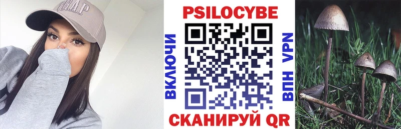Псилоцибиновые грибы мицелий  Унеча 